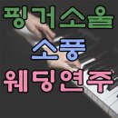 핑거소울 카카오 검색결과