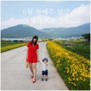 산진농장 | 거제ㄱㅈㅇ가족 6월 1주 일상::둔덕 카페리묘,옥포 타이웨이, 문재인대통령생가, 간덕천 금계국