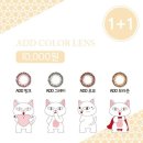 아이조아안경원 이미지