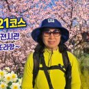 거제민속박물관 Daum카페