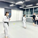 다오름태권도장 이미지