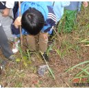 서울휘경초등학교 이미지