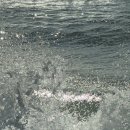 보보스리 | 0727 기록은 나를 지키는 힘인 것 같아요 (키에키커피스탠드/작은방/삼양해수욕장)