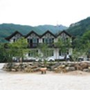 숲속계곡 쉴만한물가 이미지