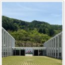아이들과 함께한 가평 주말꽃놀이 베고니아 새정원! 서울근교 당일치기 여행코스 추천후기