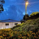 부촌마트 이미지