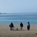 바다정원 이미지