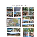 11월2일(日) Safari Tours 이미지