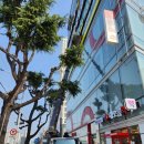 부부연합속내과의원 이미지