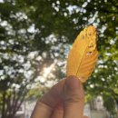 생장수