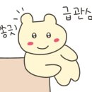 이장네오리
