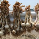 황리1길 이미지