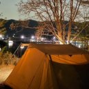 숲속에 안뜰 이미지