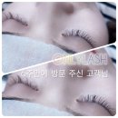 삼척속눈썹온리래쉬 네이버블로그