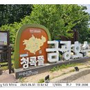 한들파크모텔 | ２０２５년 ０６월 ０７일　토요일　흐림 (NVIDIA App／금광호수／지르고 싶지만…／망가진 몸뚱이)