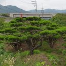 해림농장 이미지