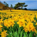 구례목장 이미지