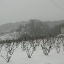 입암농장 이미지