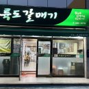오륙도갈매기