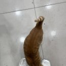 예원데코 이미지