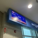 야경 볼만한 곳 ,실물 카드 없이 옥토퍼스 카드 이용기, 베이크하우스, 해쉬태그 B 에그타르트 후기