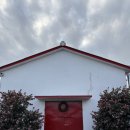 훈식 | 제주 동백꽃 개화 명소 1월말 기준 - 서귀포 동백꽃 포토존 훈식이네 동백밭 내돈내산 후기