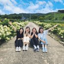 신지천 이미지