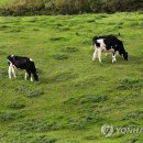 초지1로 이미지