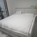 이스턴샤인 이미지