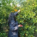 파더스김밥&카페 | [25.12] 26주 임산부와 함께한 3박 4일 겨울 제주 태교여행 ep.2