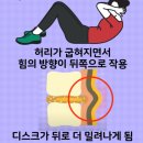 5150피트니스피티