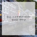 튼튼잇몸치과의원 이미지