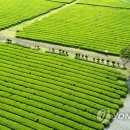 서광리-26 이미지