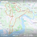 돌려차기태권도 이미지