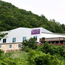 영산로 288 이미지