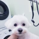 개도만족 이미지