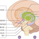 모이PLUS 이미지