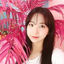 데이데이21 이미지