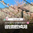 넌버벌아트 소축제 | 2026 광양매화축제 실패 없이 다녀온 후기!