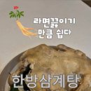 법인보양