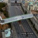 정묘사 배롱나무 백일홍나무 동래정묘 화지공원 화지사 화지산 부산시민공원 하야리아부대
