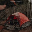 사시사철농원 | 비학농원오토캠핑장 직접 다녀온 계곡 산책 만족기
