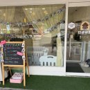 인생댕컷 반려견미용실 이미지