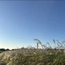 노을공원 이미지