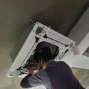 노랑토마토