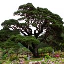 산솔마을 이미지