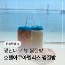 펠리스게임 | 부산 광안리 찜질방 아쿠아펠리스 근황 ..