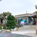 산포리민박 이미지