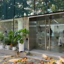 서초중앙로29길 16-6 이미지