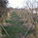 덕원농장 이미지